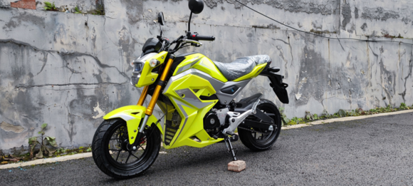 Мотоцикл PROMAX STRYKER 200(49) OFF-ROAD 2.0 pitbikemarket.ru